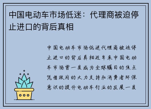 中国电动车市场低迷：代理商被迫停止进口的背后真相