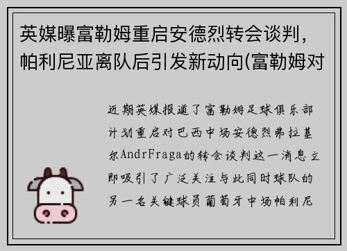 英媒曝富勒姆重启安德烈转会谈判，帕利尼亚离队后引发新动向(富勒姆对利兹)