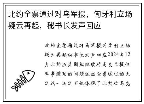 北约全票通过对乌军援，匈牙利立场疑云再起，秘书长发声回应