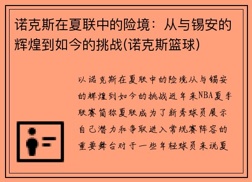 诺克斯在夏联中的险境：从与锡安的辉煌到如今的挑战(诺克斯篮球)